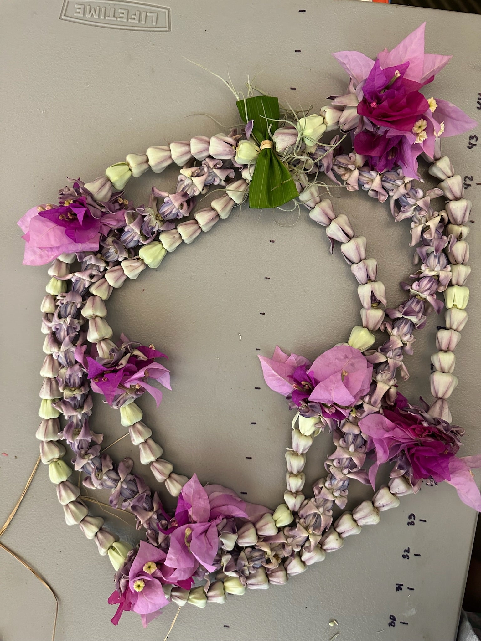 Lei Kalaunu [purple crown flower]