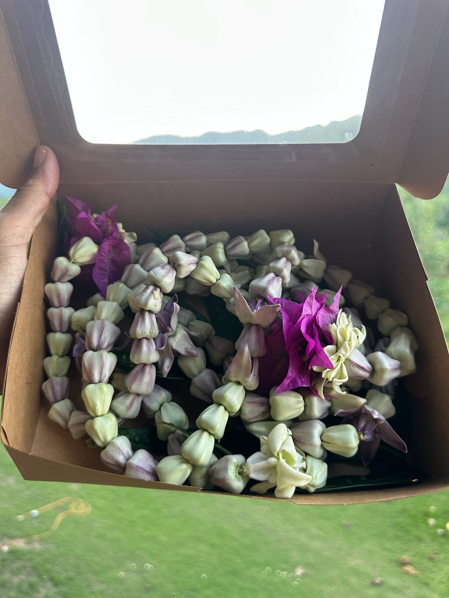 Lei Kalaunu [purple+white crown flower]