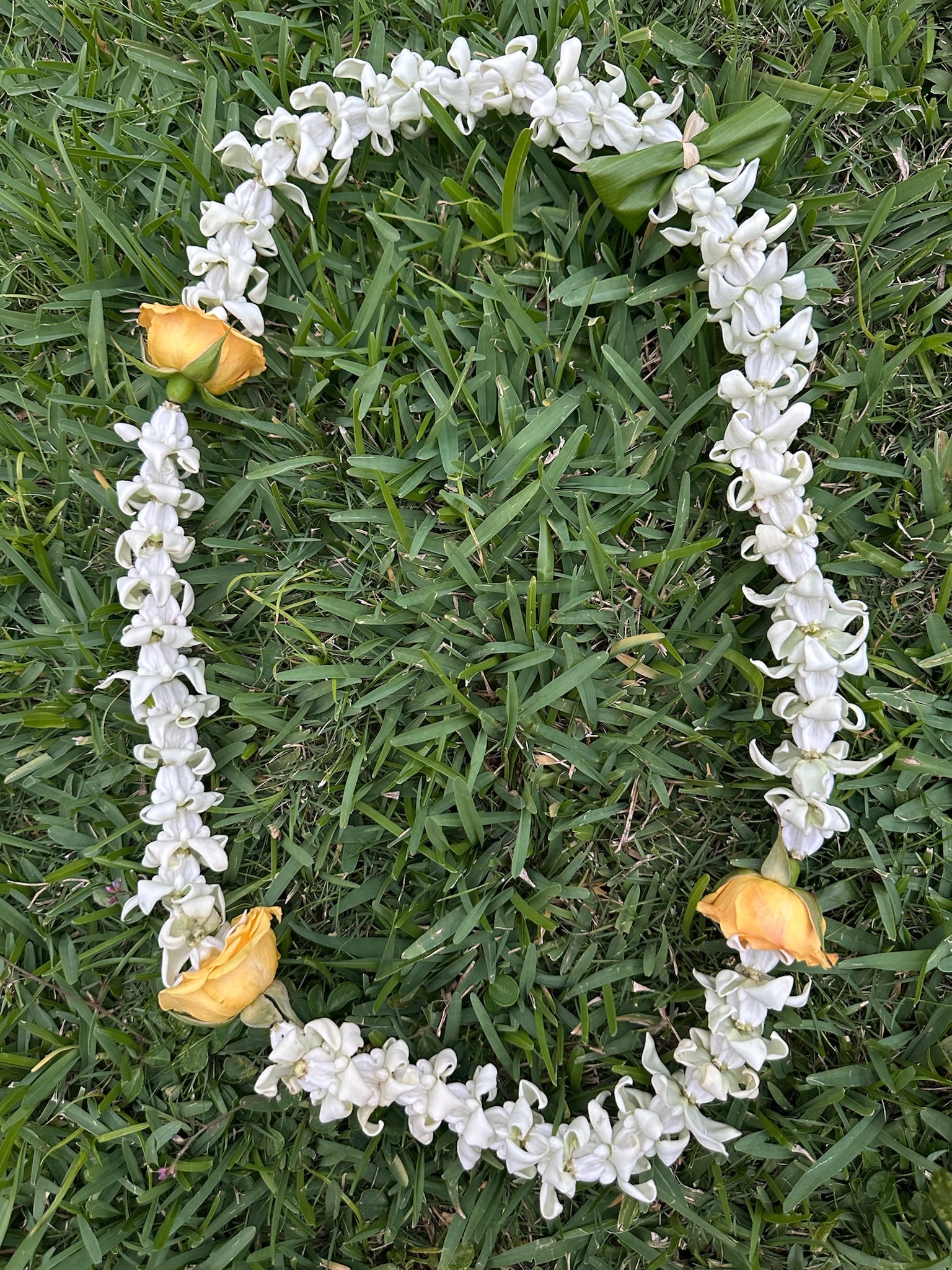 Lei Kalaunu [white crown flower]