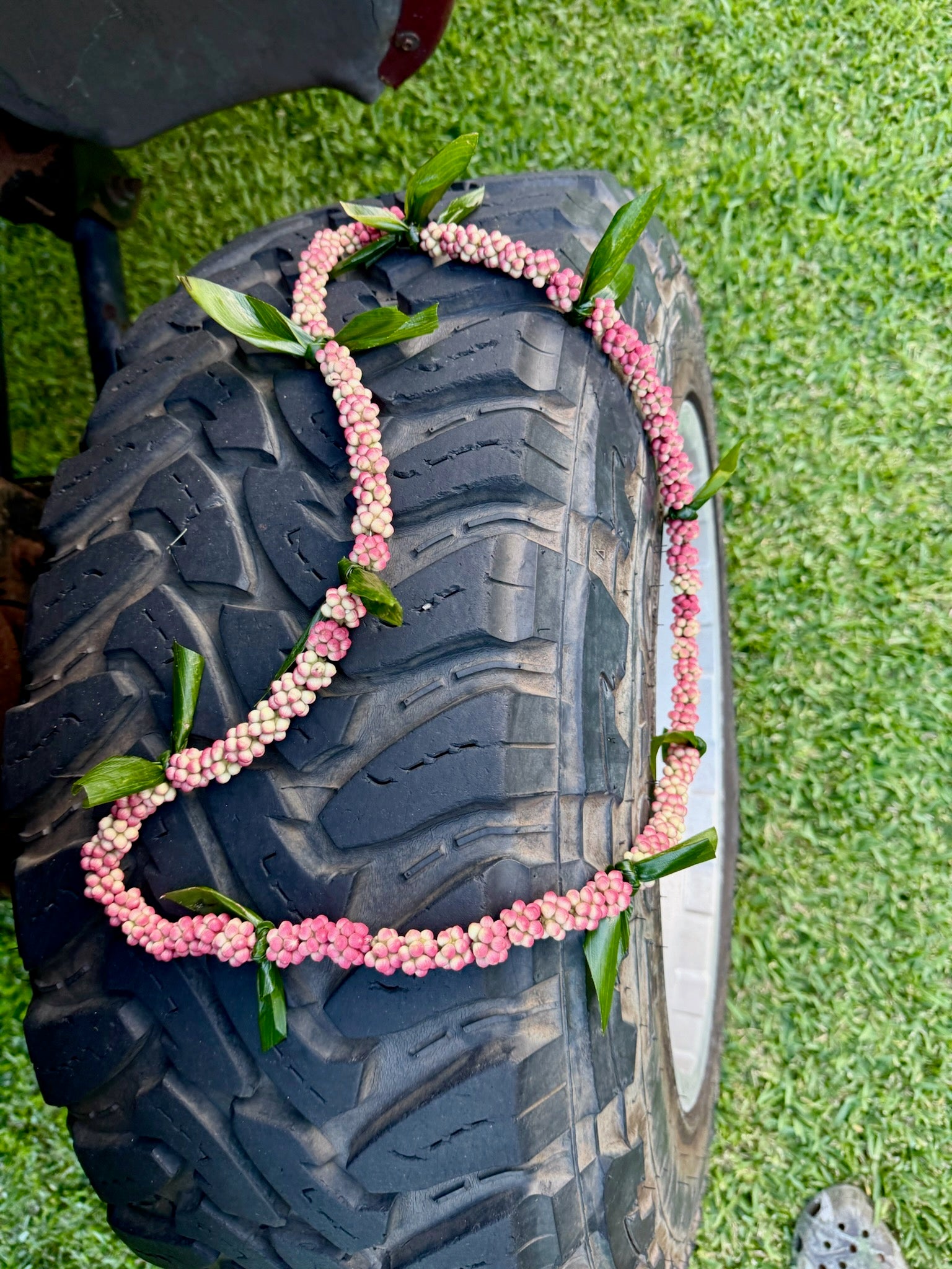 Lei Heʻe [octopus tree berry]