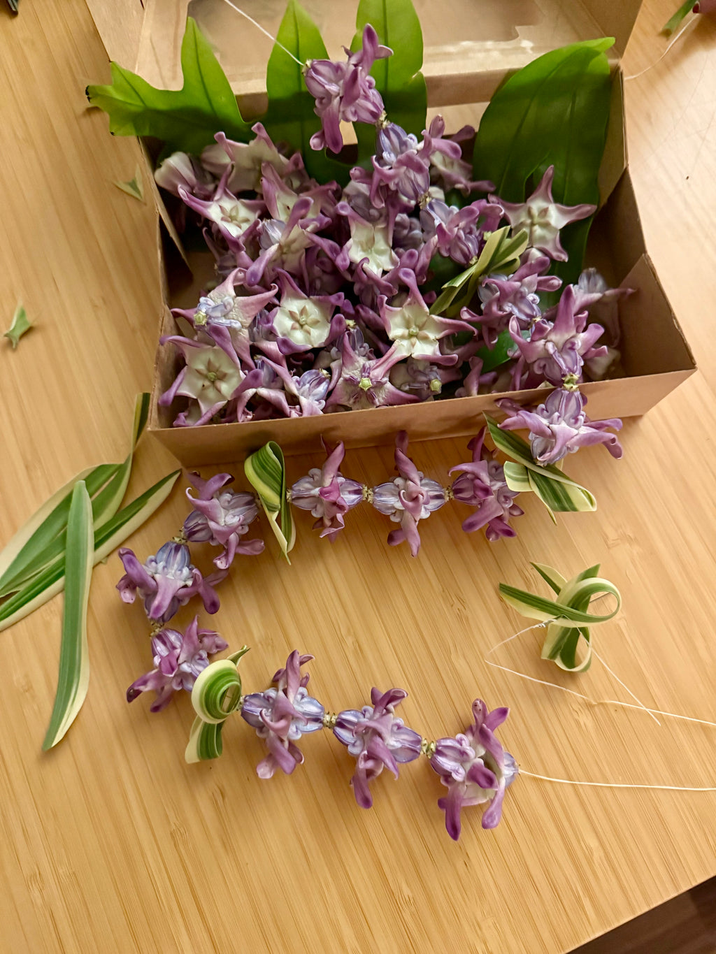 Lei kits