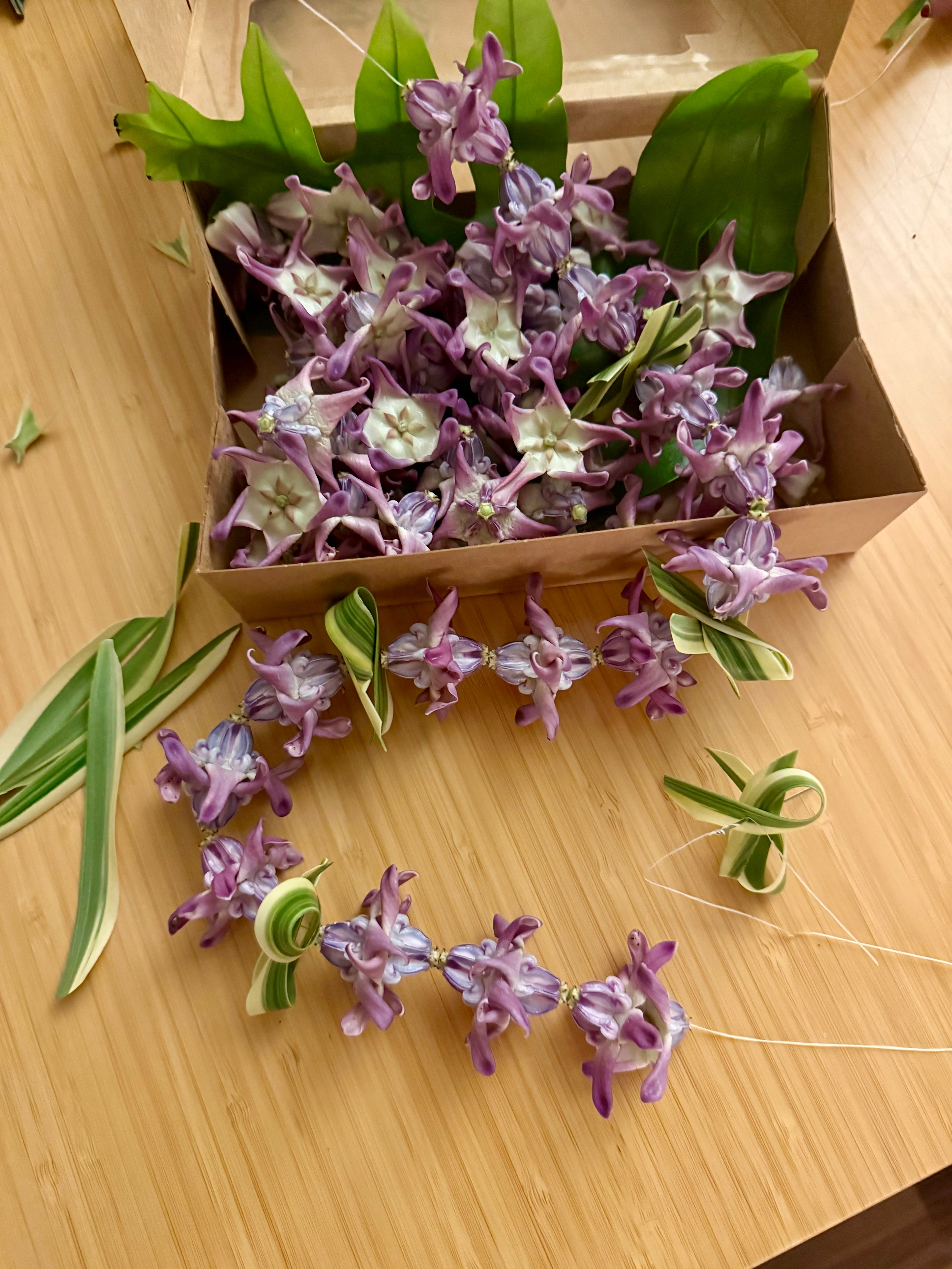 Lei kits