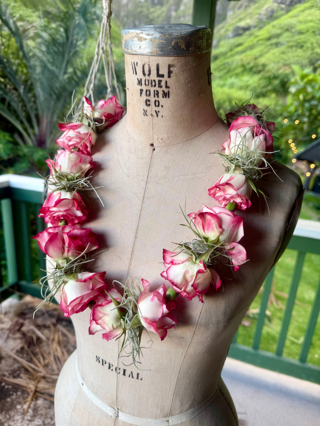 lei lokelani [rose]