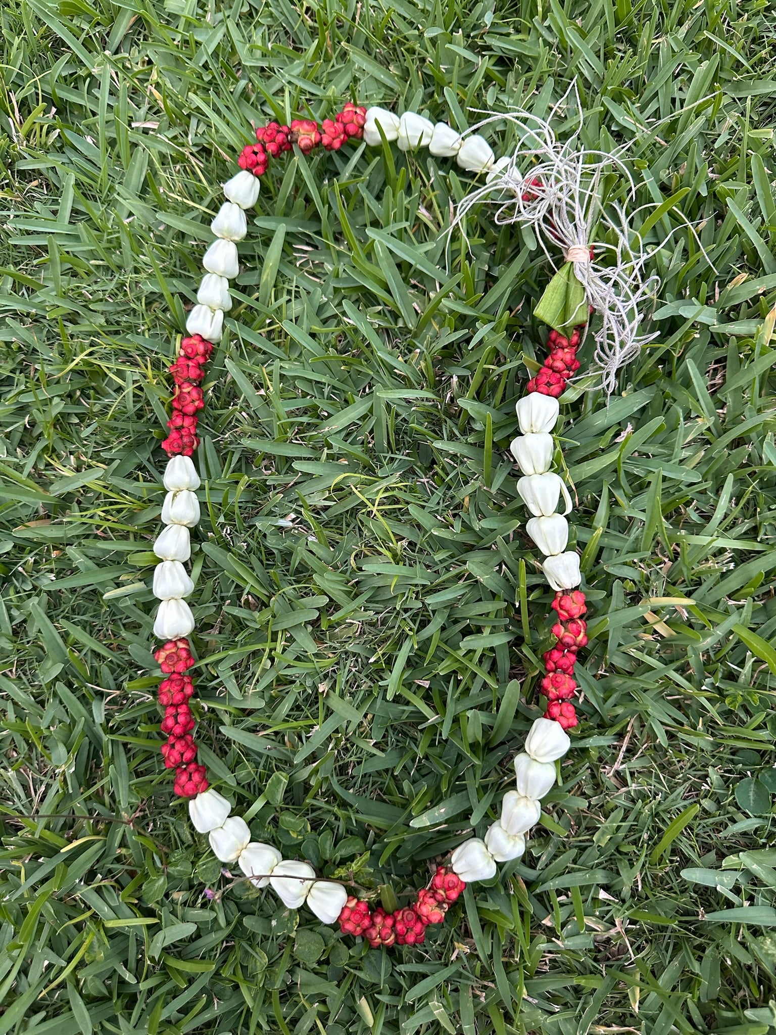 Lei Heʻe [octopus tree berry]