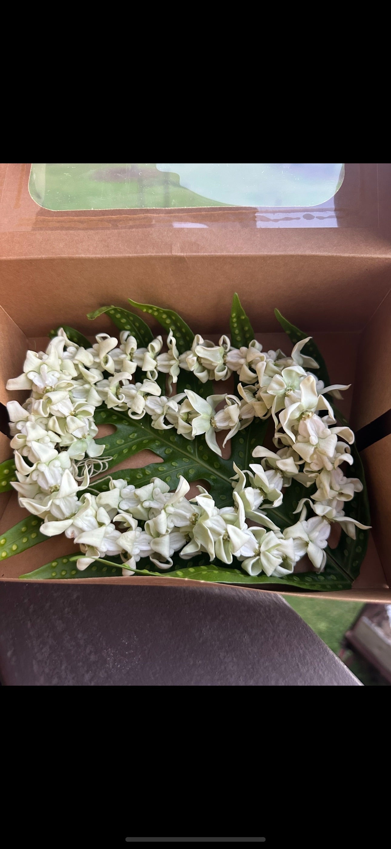 Lei Kalaunu [white crown flower]