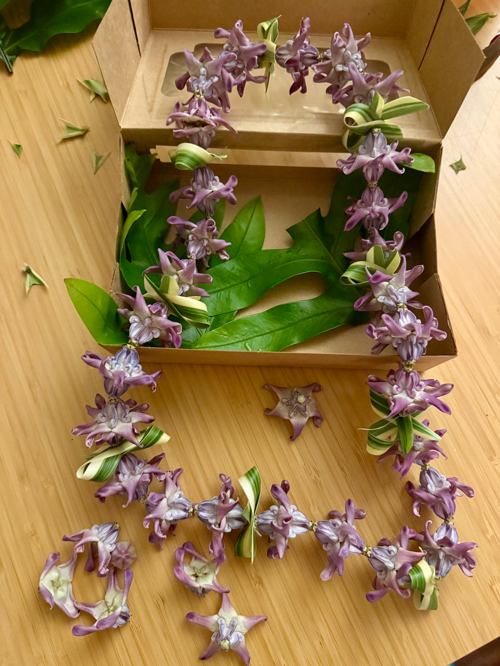 Lei kits