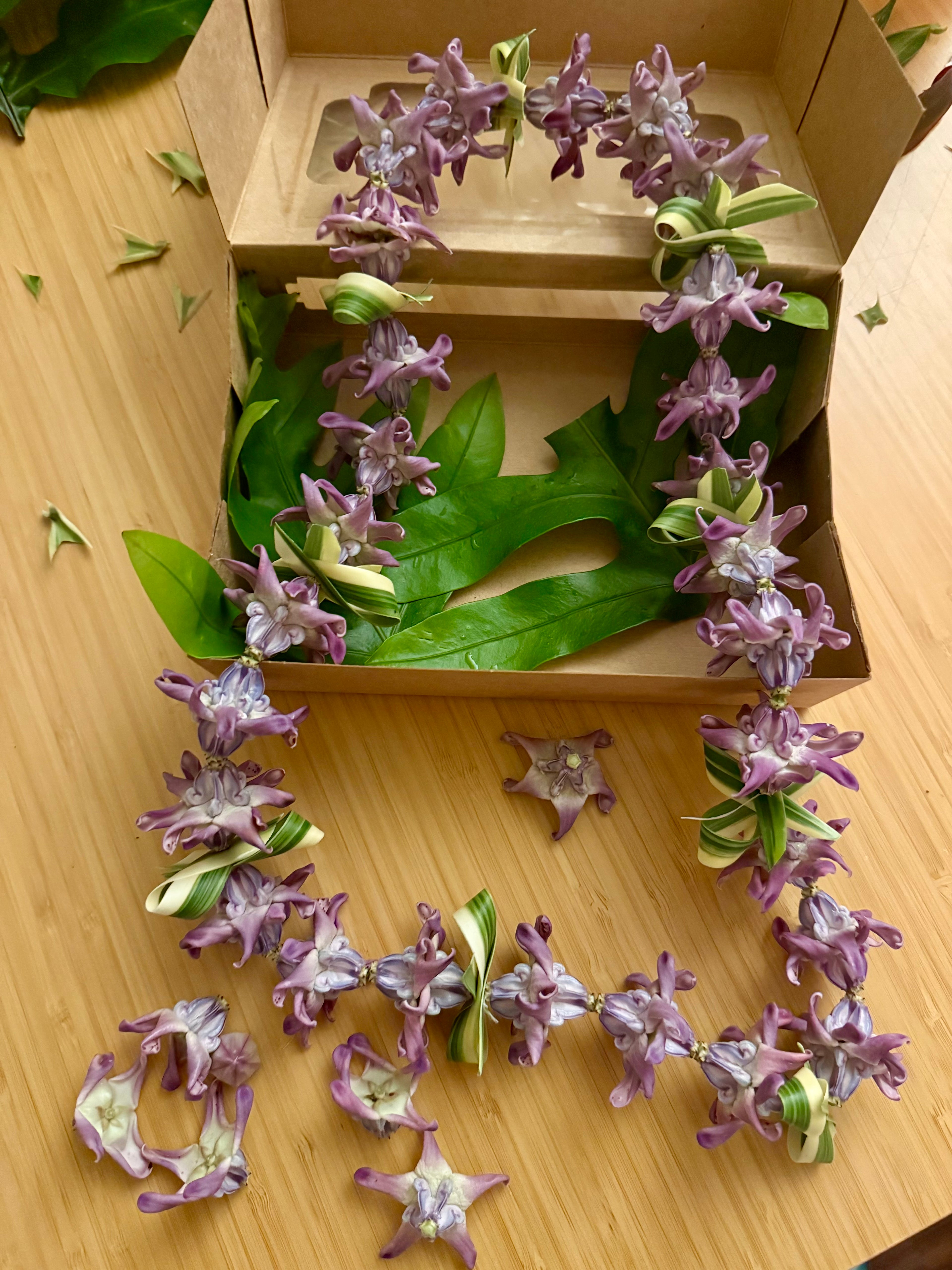 Lei kits
