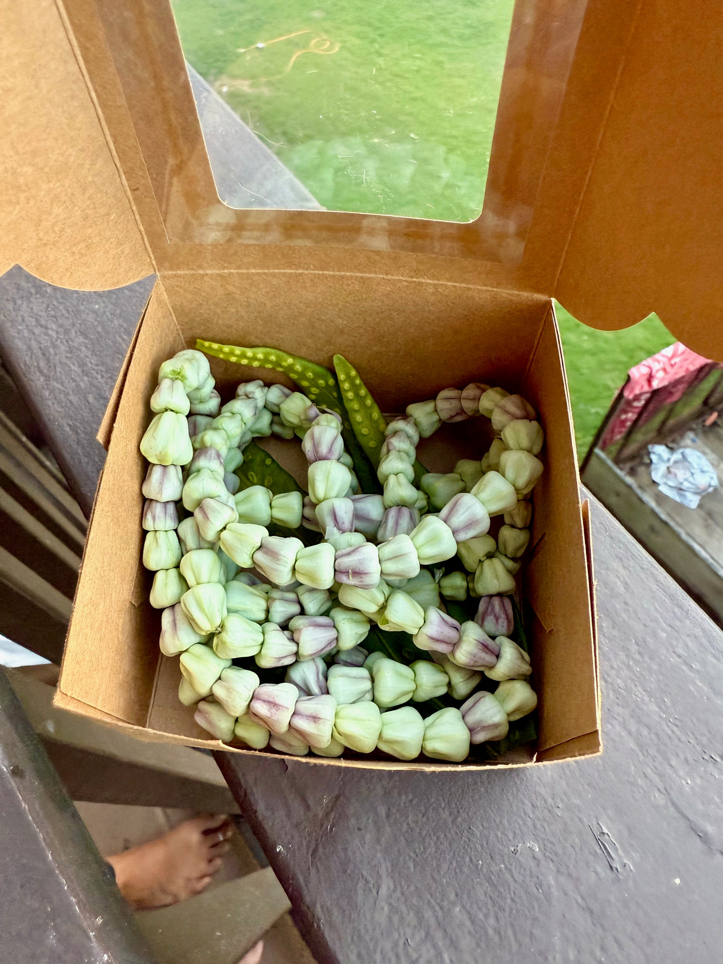 Lei Kalaunu [white crown flower]