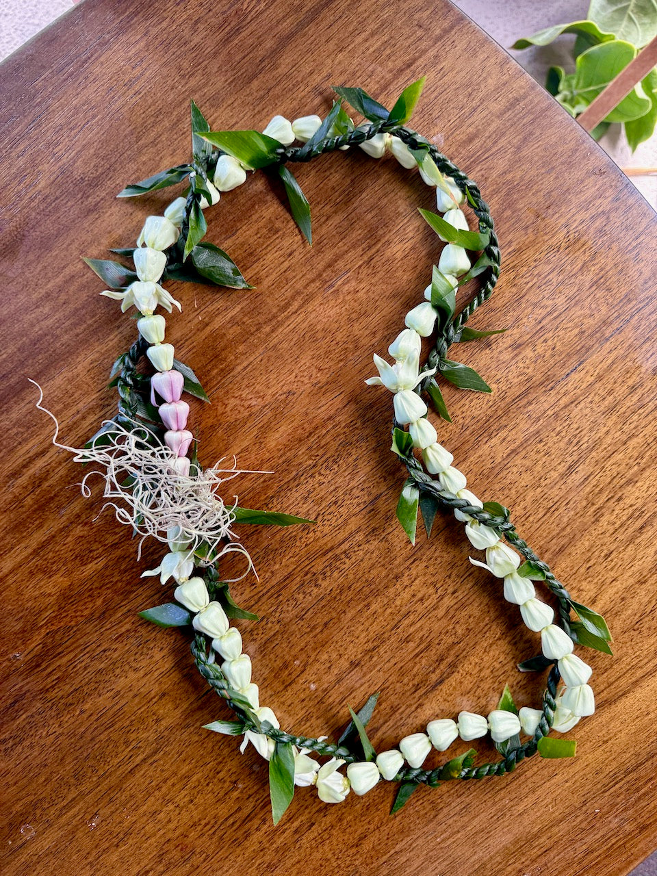 Lei Kalaunu [white crown flower]